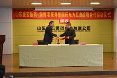 盛宏引領大健康